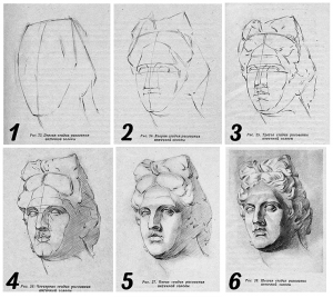 Этапы ведения рисунок головы