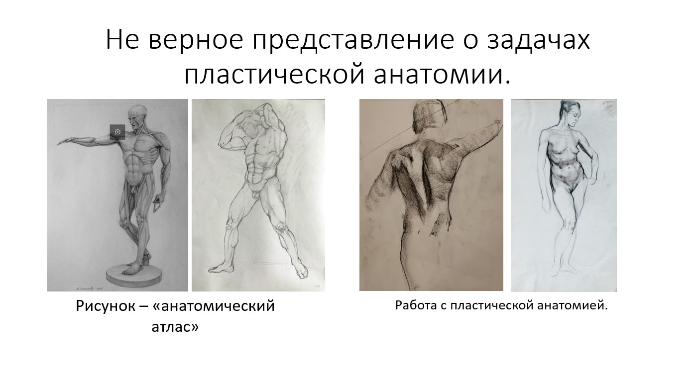 Проблемы в рисовании и пластической анатомии 2D художников.